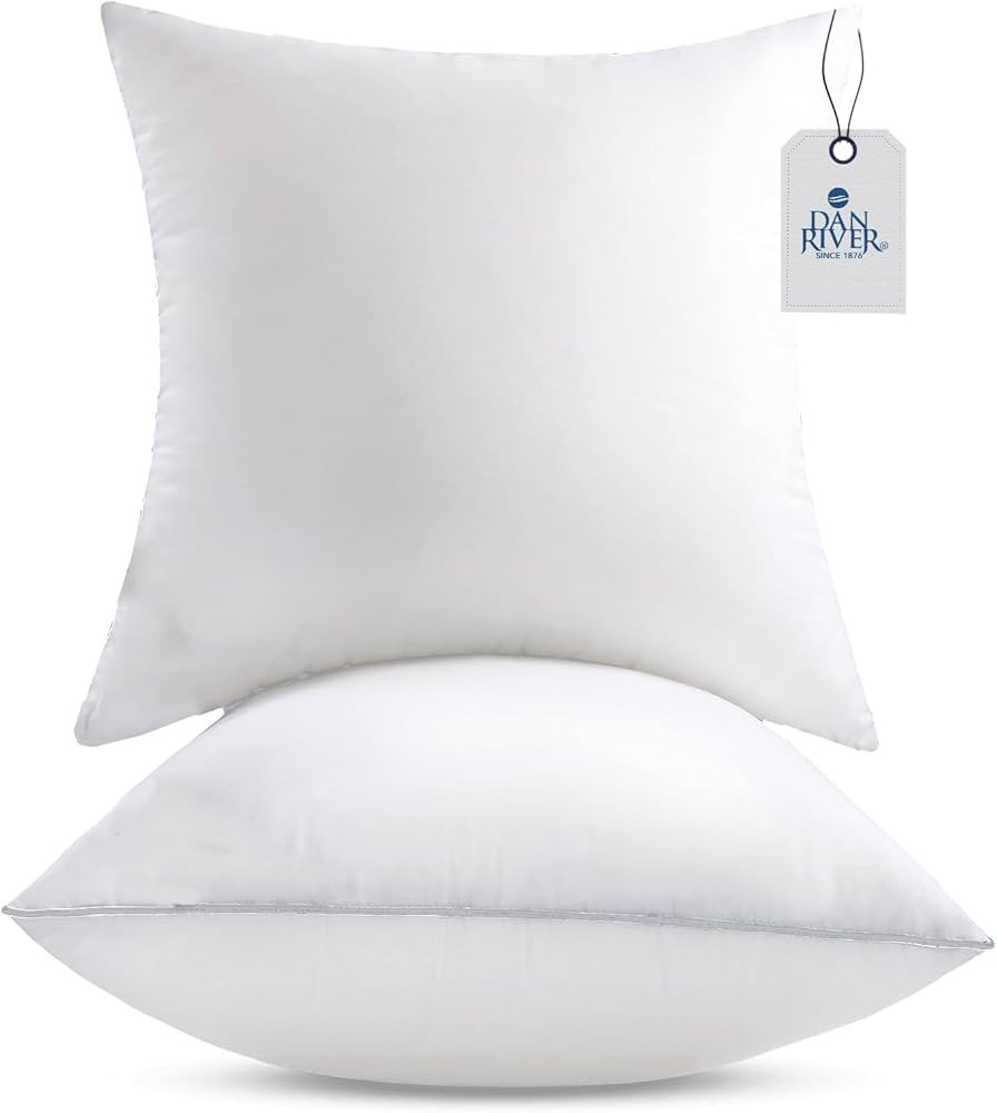 DAN RIVER Throw Pillows 18x18 Size Set of 2 | White Pillows for Couch | Throw Pillows for Bed | D... | Amazon (US)