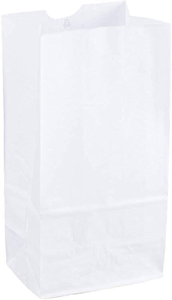 Duro - COMIN18JU053514 Grocery/Lunch Bag, Kraft Paper, 4 lb Capacity, (100 Count) (White) | Amazon (US)
