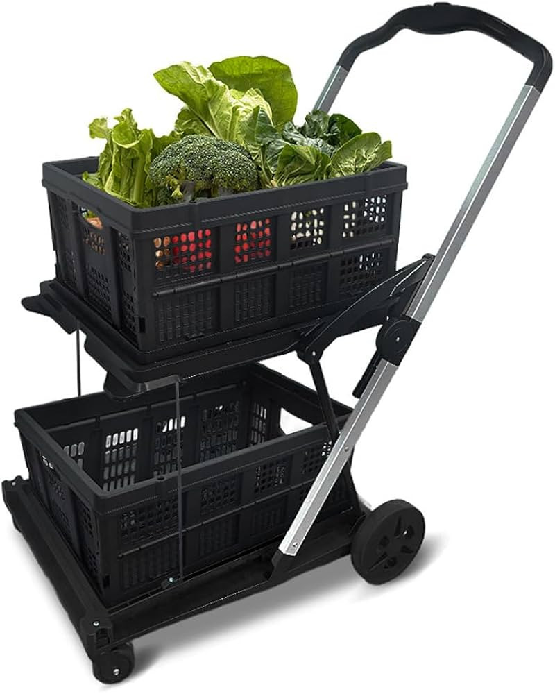 Two Layers Folding Shopping Cart | Multi Use Functional Collapsible Carts | Collapsible Grocery C... | Amazon (US)