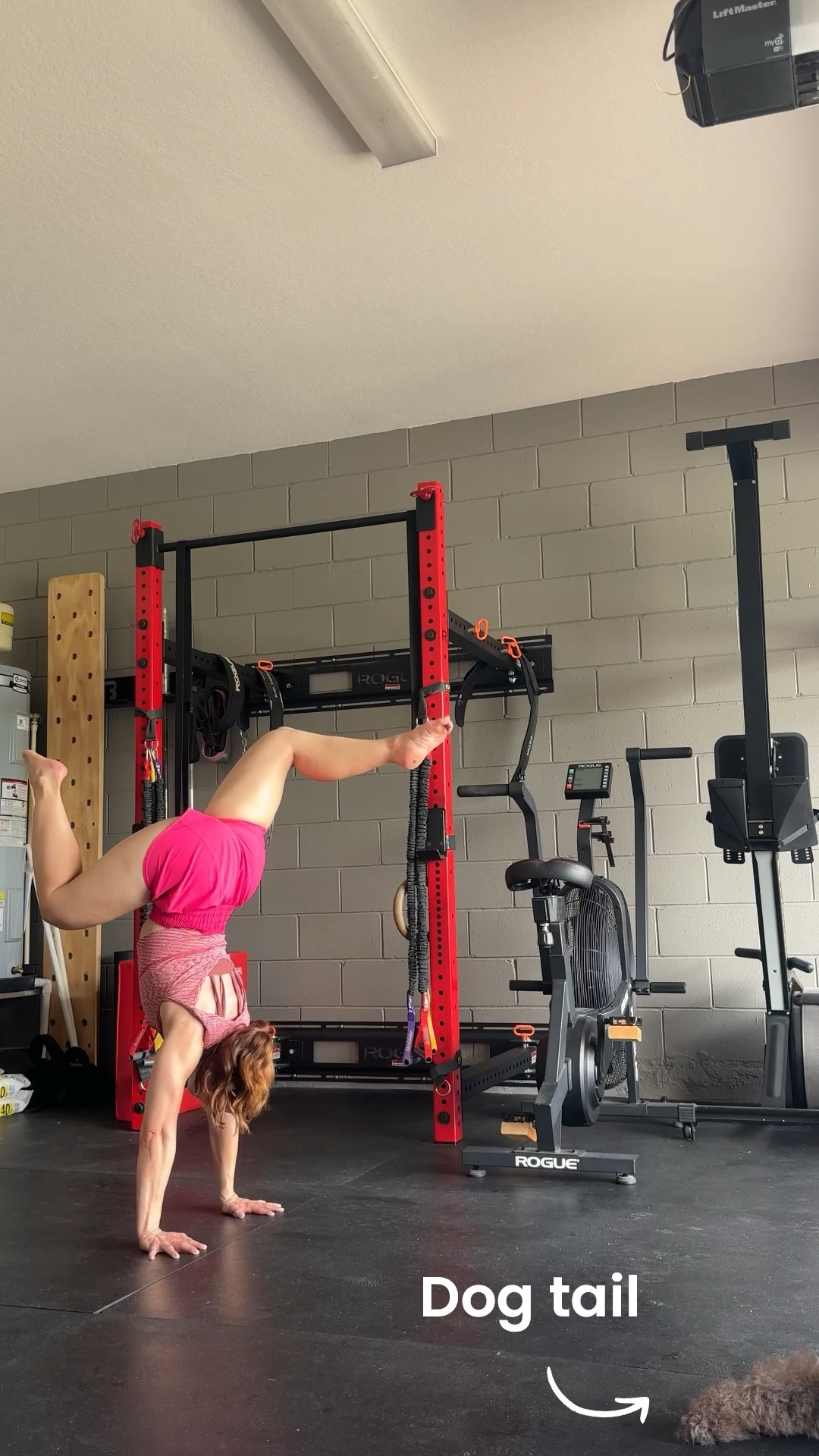 Fun pink shorts from Target!! I have these shorts in five different colors now 🙈🩷

#LTKActive #LTKOver40 #LTKPetite