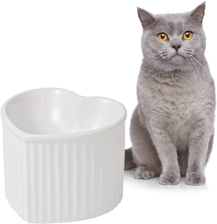 Raised Ceramic Cat Water Bowl - Elevated Cat Food Dish Anti Vomiting - Stress Free Tall Cat Feedi... | Amazon (US)