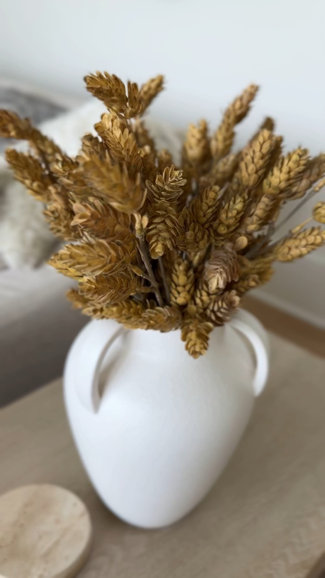 Fall stems  

#LTKFindsUnder50 #LTKHome #LTKSeasonal