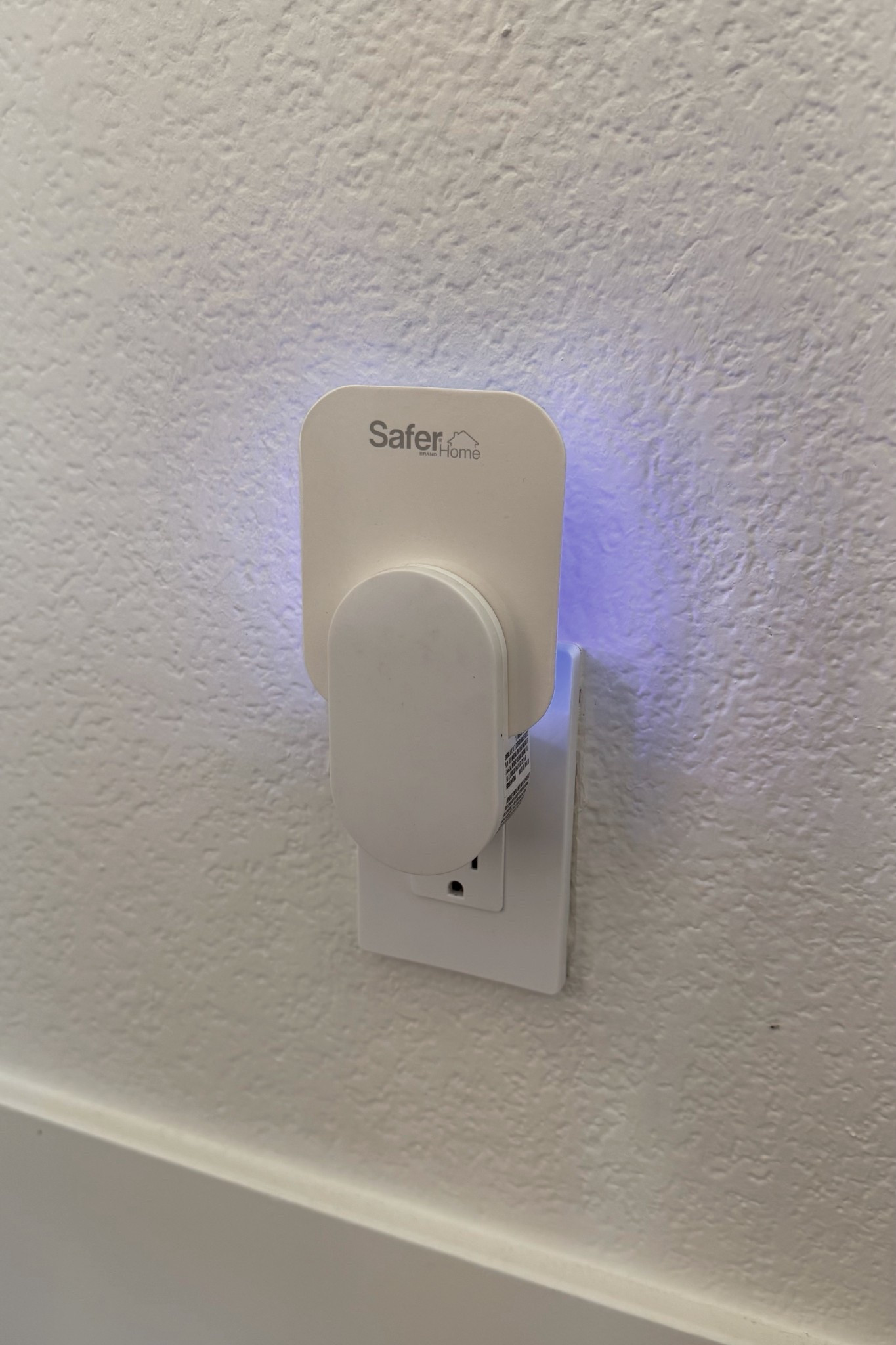 Fly catcher 

#LTKHome