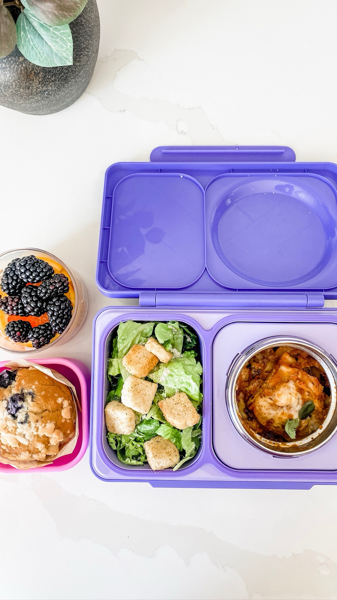 Make the last few lunches of the school year fun with OMIE! 

#LTKFamily #LTKKids #LTKSeasonal