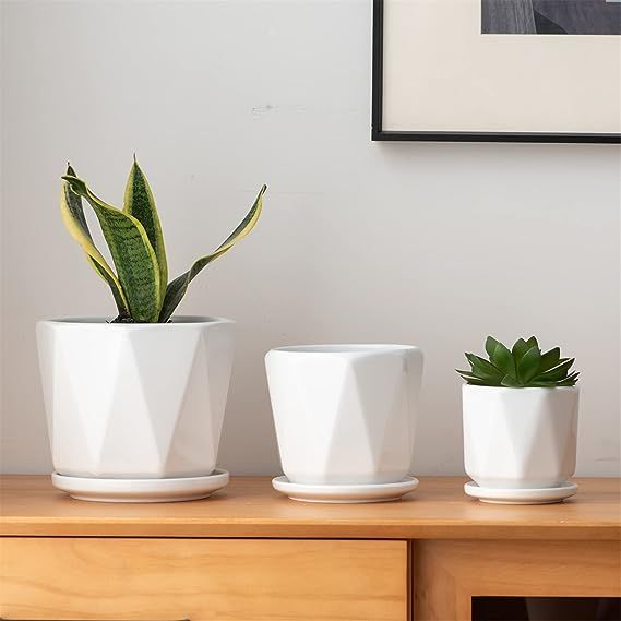 Octagon Ceramic Plant Pots - Indoor White Flower Planter Set with Drainage Holes, 6.7/5.5/4.7 Inc... | Amazon (US)