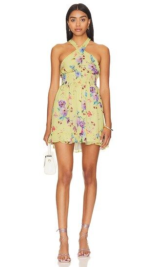 Louise Mini Dress in Love Bird Floral | Revolve Clothing (Global)