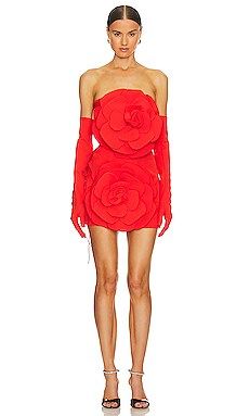 MISCREANTS Rose Dress With Gloves in Red from Revolve.com | Revolve Clothing (Global)