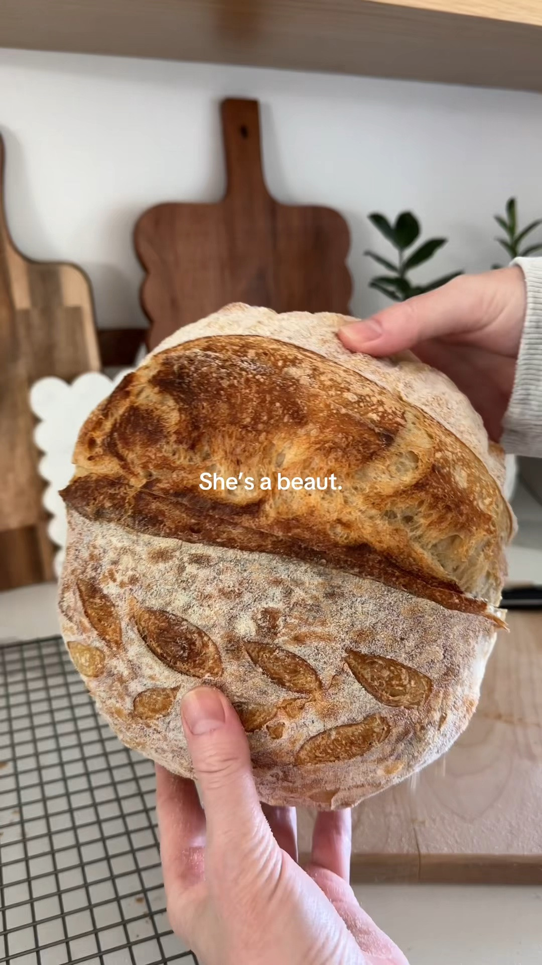 Sunday sourdough 🍞✨ | sourdough favorites | baking favorites #williamssonoma

#LTKmorningroutine #LTKfoodie #LTKHome