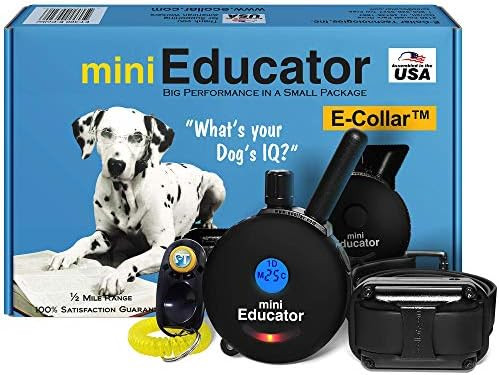 Amazon.com : Educator ET-300 Black Mini E Collar for Dog Training with Remote - 1/2 Mile Range, W... | Amazon (US)