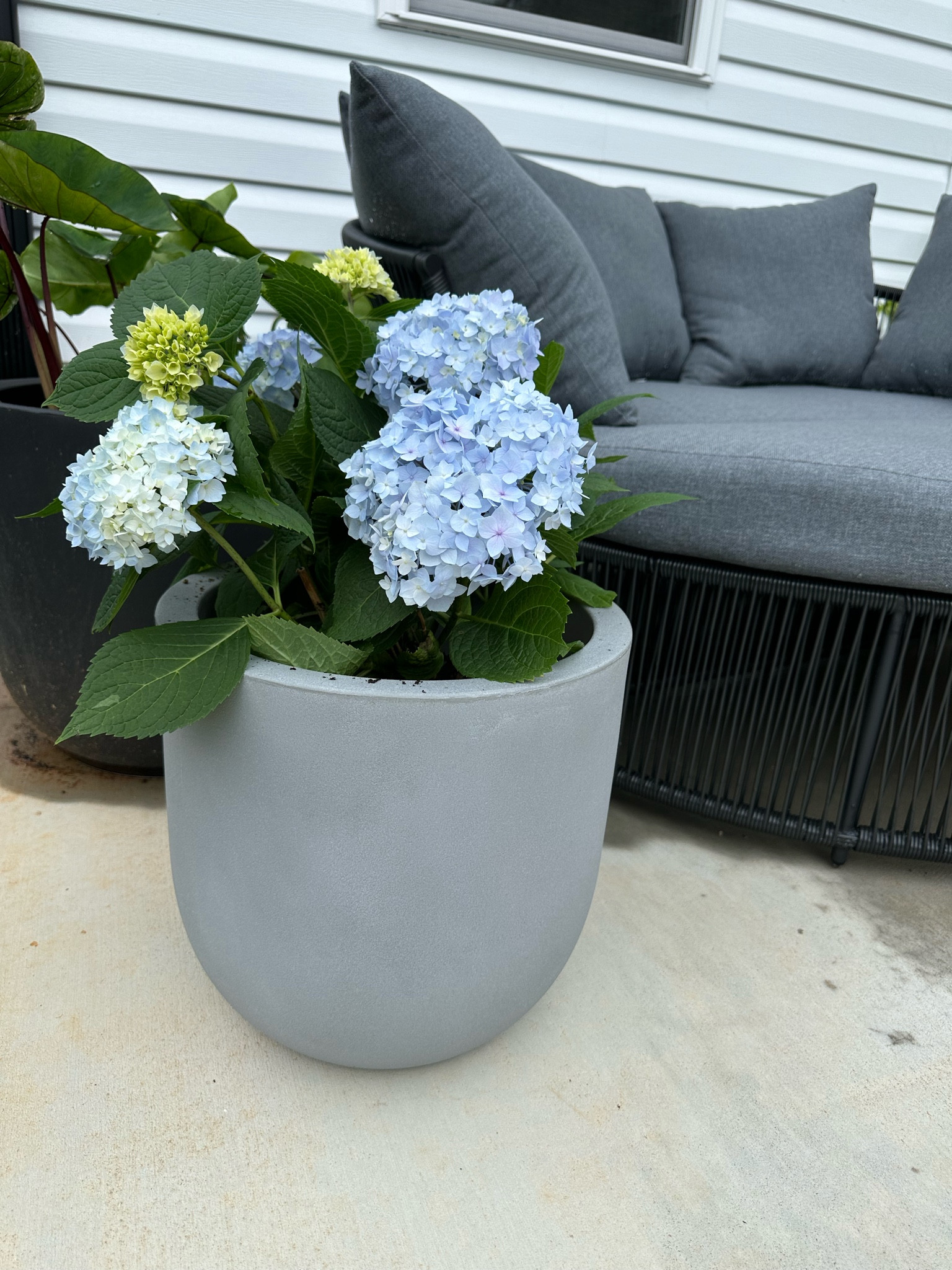 Walmart planters , Walmart home decor , Walmart outdoor patio 

#LTKFindsUnder100 #LTKFindsUnder50 #LTKHome