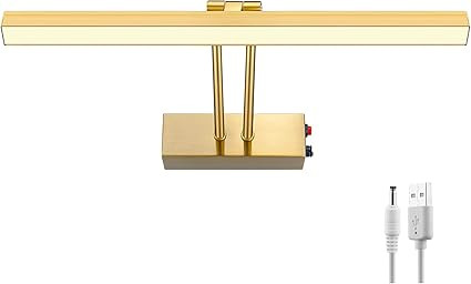 KANESIKI Wireless Picture Light Battery Operated, Rechargeable Painting Light, Super Bright Displ... | Amazon (US)