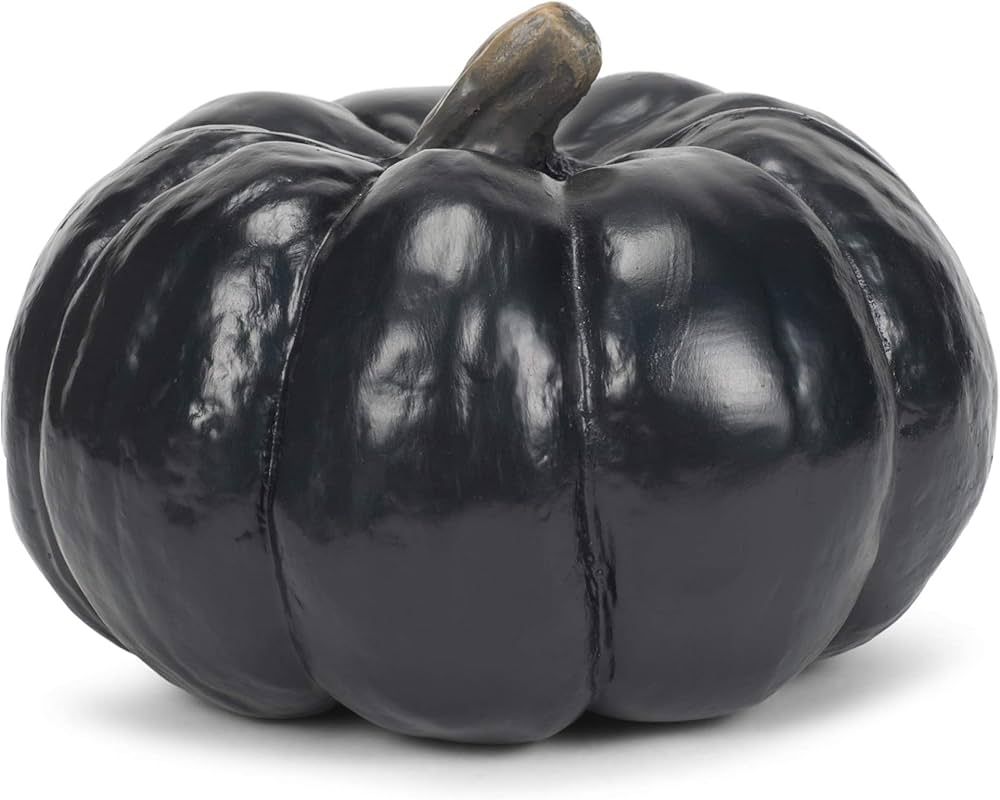 Elanze Designs Midnight Black 6 inch Resin Harvest Decorative Pumpkin | Amazon (US)