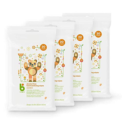 Babyganics Alcohol-Free Hand Sanitizer Wipes, Mandarin, 20 ct, 4 Pack, Packaging May Vary | Amazon (US)