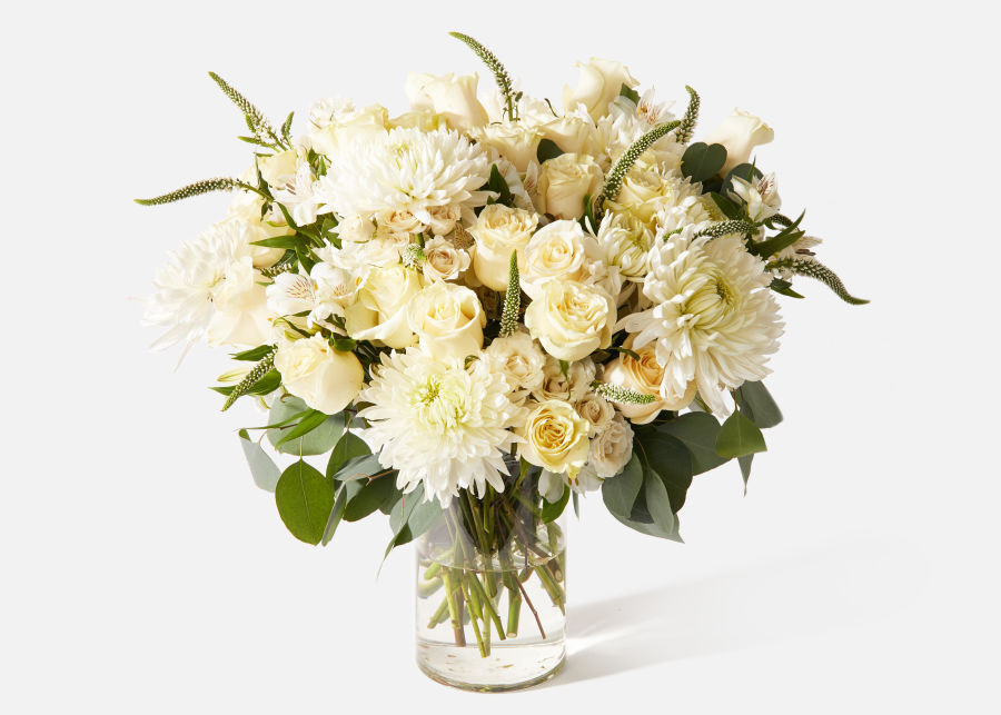 Triple The Dove | UrbanStems