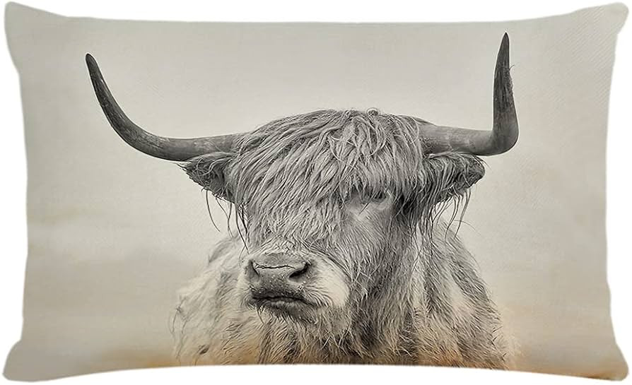 AHLOKI Farmhouse Cow Pillow Covers 12x20 Inch Highland Cow Decor Pillow Case Decor Lumbar Pillow ... | Amazon (US)