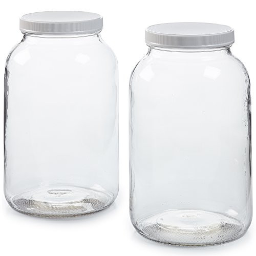 1790 Large Glass Jars with Lid - Wide Mouth 1 Gallon Glass Jar with Lid - Glass Gallon Jar for Kombucha & Sun Tea - Gallon Mason Jars are Large Glass Jars with Lids 1 Gallon for Food Storage - 2 Pack | Amazon (US)