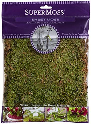 SuperMoss (21580) Sheet Moss Dried, Natural, 2oz | Amazon (US)