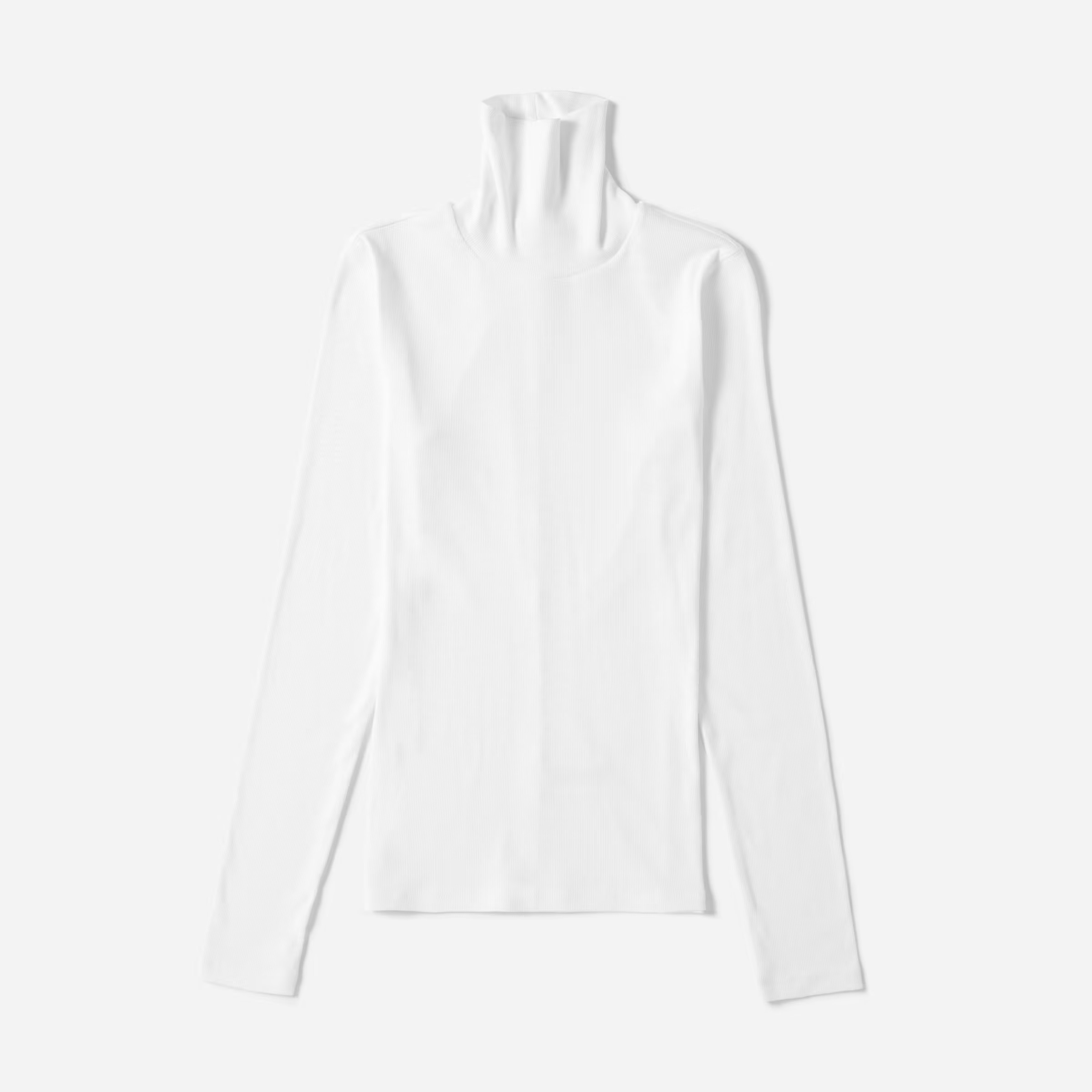 The Pima Micro-Rib Turtleneck | Everlane