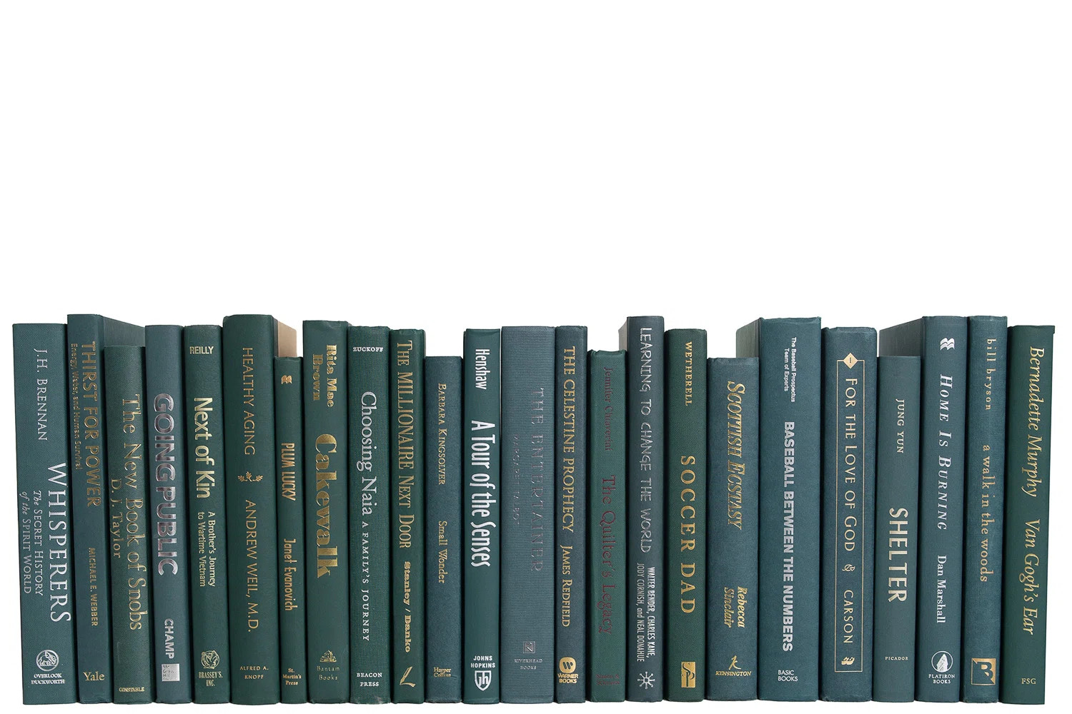 Modern Forest: Color By The Foot | Wayfair North America