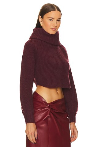 x REVOLVE Safia Peek A Boo Crop in Eggplant | Revolve Clothing (Global)