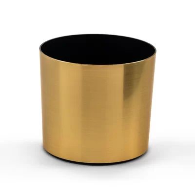 Odessa Pot Planter AMEE Color: Brushed Gold, Size: 10" H x 10.5" W x 10.5" D | Wayfair North America