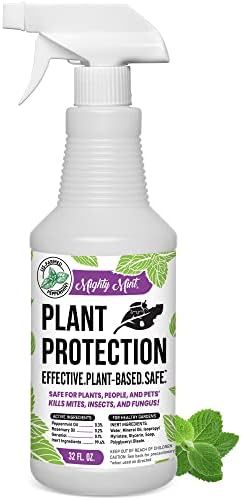 Mighty Mint 32oz Plant Protection Peppermint Spray for Spider Mites, Insects, Fungus, and Disease | Amazon (US)