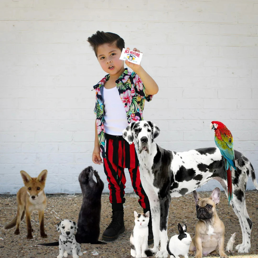 Kid's Ace Ventura Costume, Red and Black Vertical Striped Jogger Pants and Shirt: Toddler Ace Ven... | Etsy (US)