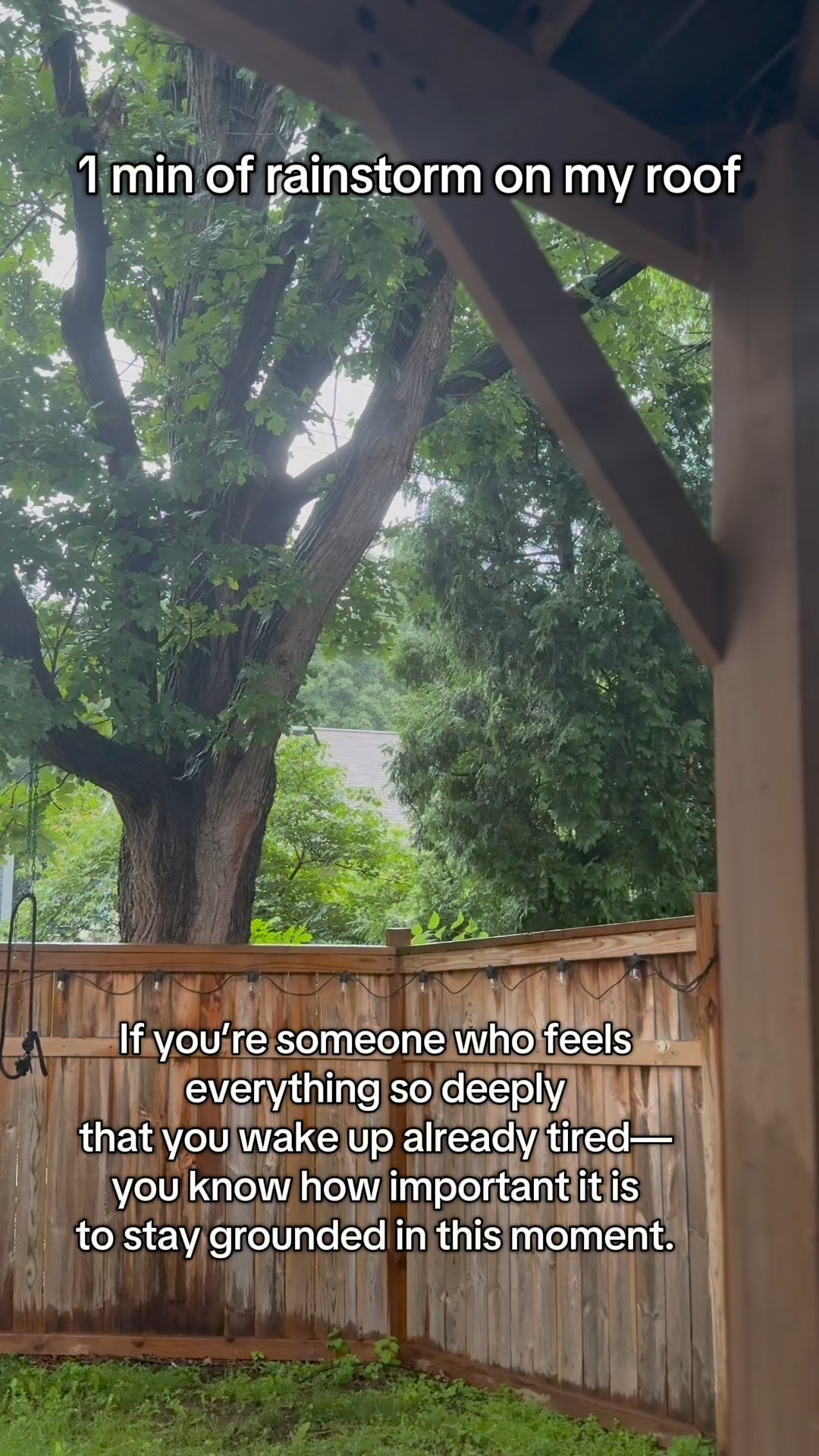 Rainstorm sounds but big drops falling on the tin metal aluminum roof of my gazebo pavilion watching the trees and the sounds of nature with birds and bugs under my ​⁠ 12 x 16 gazebo


#LTKSeasonal #LTKOver40 #LTKHome