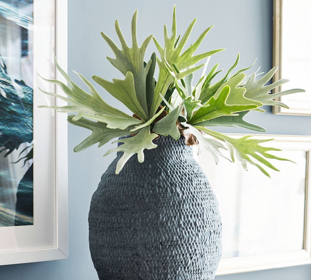Staghorn Branch | Pottery Barn (US)