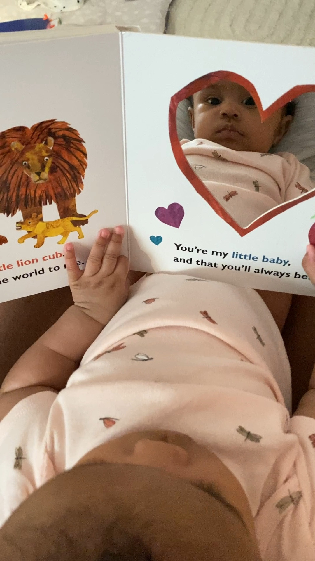 Baby books we love! Interactive and engaging books for babies 


#LTKVideo #LTKbaby