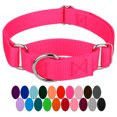 Country Brook Petz® Hot Pink Martingale Heavyduty Nylon Dog Collar, Medium | Walmart (US)
