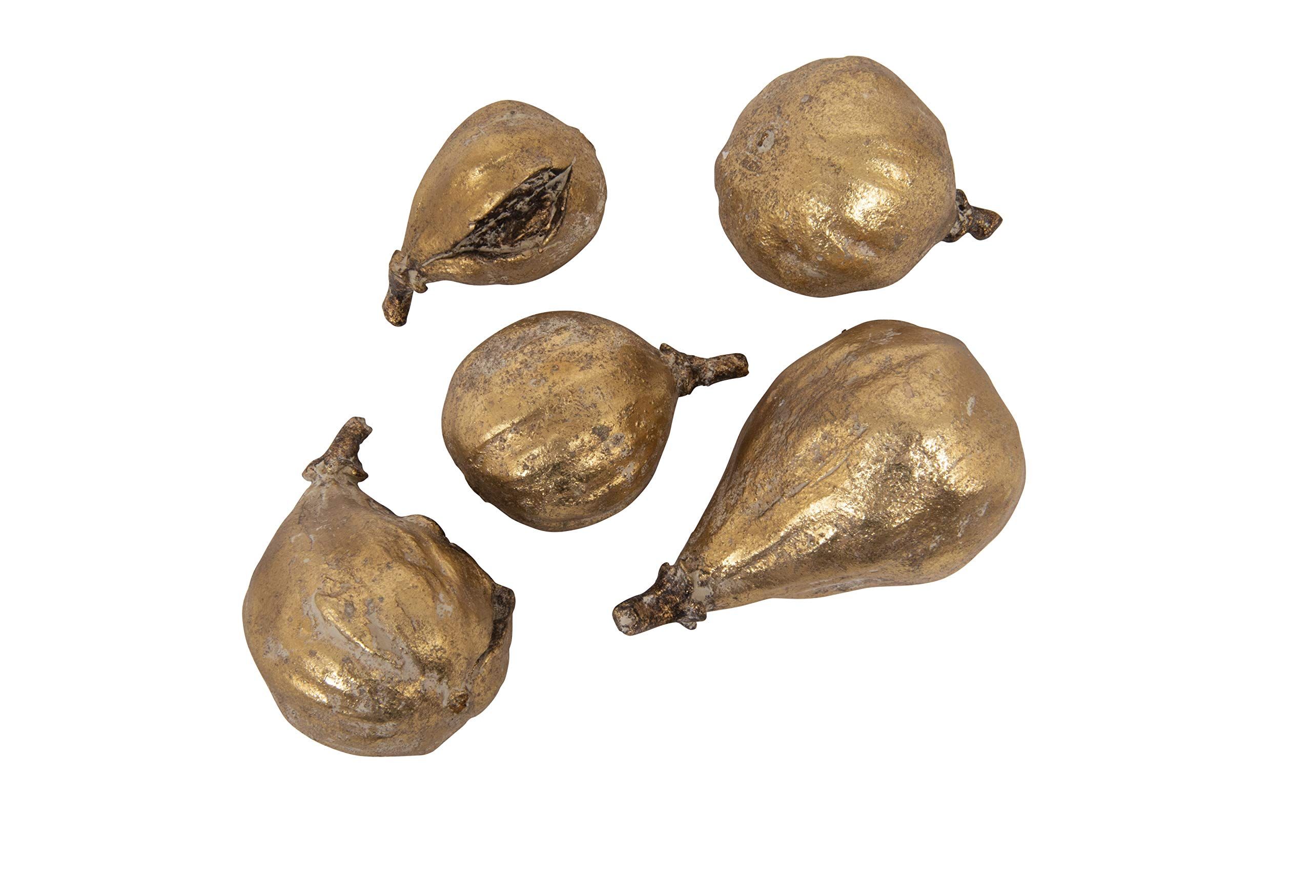 Creative Co-Op Resin Figs with Gold Finish (Set of 5 Pieces) | Amazon (US)