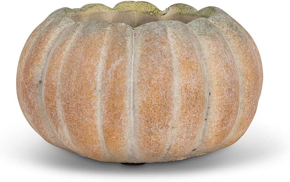 Abbott Collection Small Low Cement Pumpkin Indoor and Outdoor Planter Pot (5.5" W, 3.5" Opening) | Amazon (US)