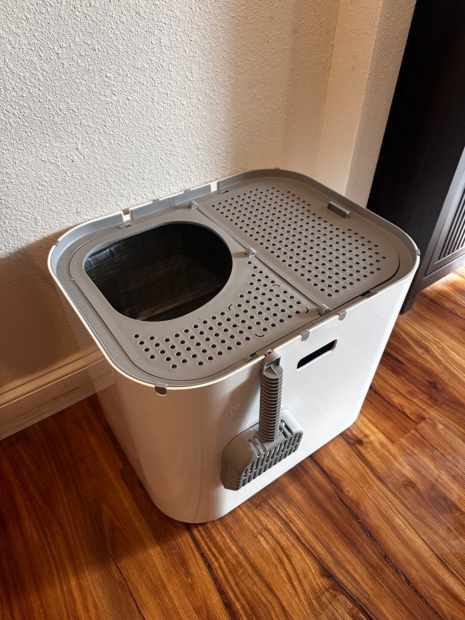 If you’re looking for the best litter box this is it! Cats can enter through the top or you can close off the top and open the side entry. The top design helps keep the litter from spreading everywhere when they come out. It also keeps the smell down. It looks nice, easy to move with handles and  the scooper stays right where the box is.

I also recommend the litter we use. It hides the smell better than any other litter we’ve tried. The cat food we use also takes away the allergen that makes people allergic to cats!

If you’ve been wanting a kitten these are my go-to tried and true products for cats.

Cat box, litter box, cat supplies, kittens, cat finds, new kitten, best litter box

#LTKstorytime #LTKHome