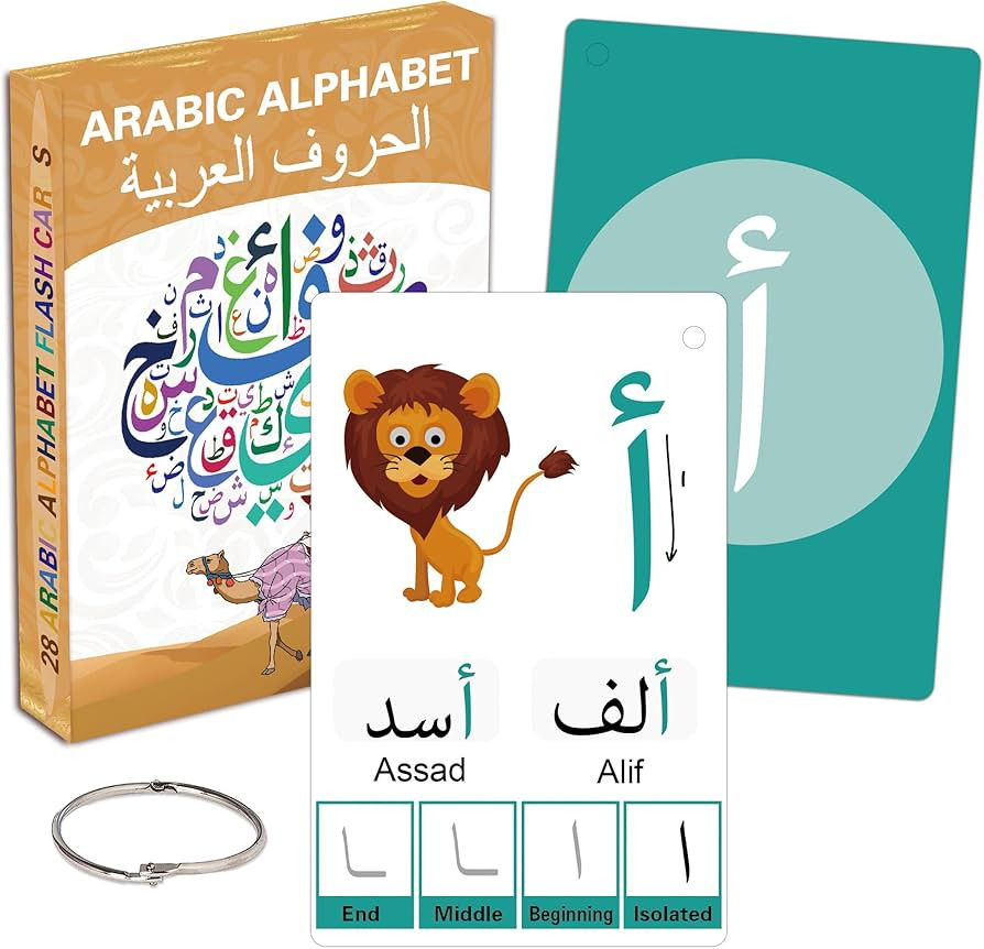 Arabic Flash Cards for Beginners, Learn Arabic Alphabet for Kids, Teens and Adults, Educational L... | Amazon (US)