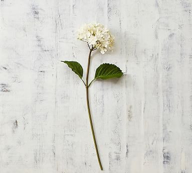 Faux Lace Hydrangea Stem | Pottery Barn (US)