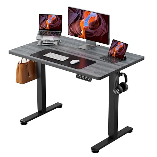 ErGear Electric Standing Desk, 44 x 24 Inches Height Adjustable Stand up Desk, Sit Stand Home Office Desk, with Two-Piece Desktop (Grey) | Amazon (US)