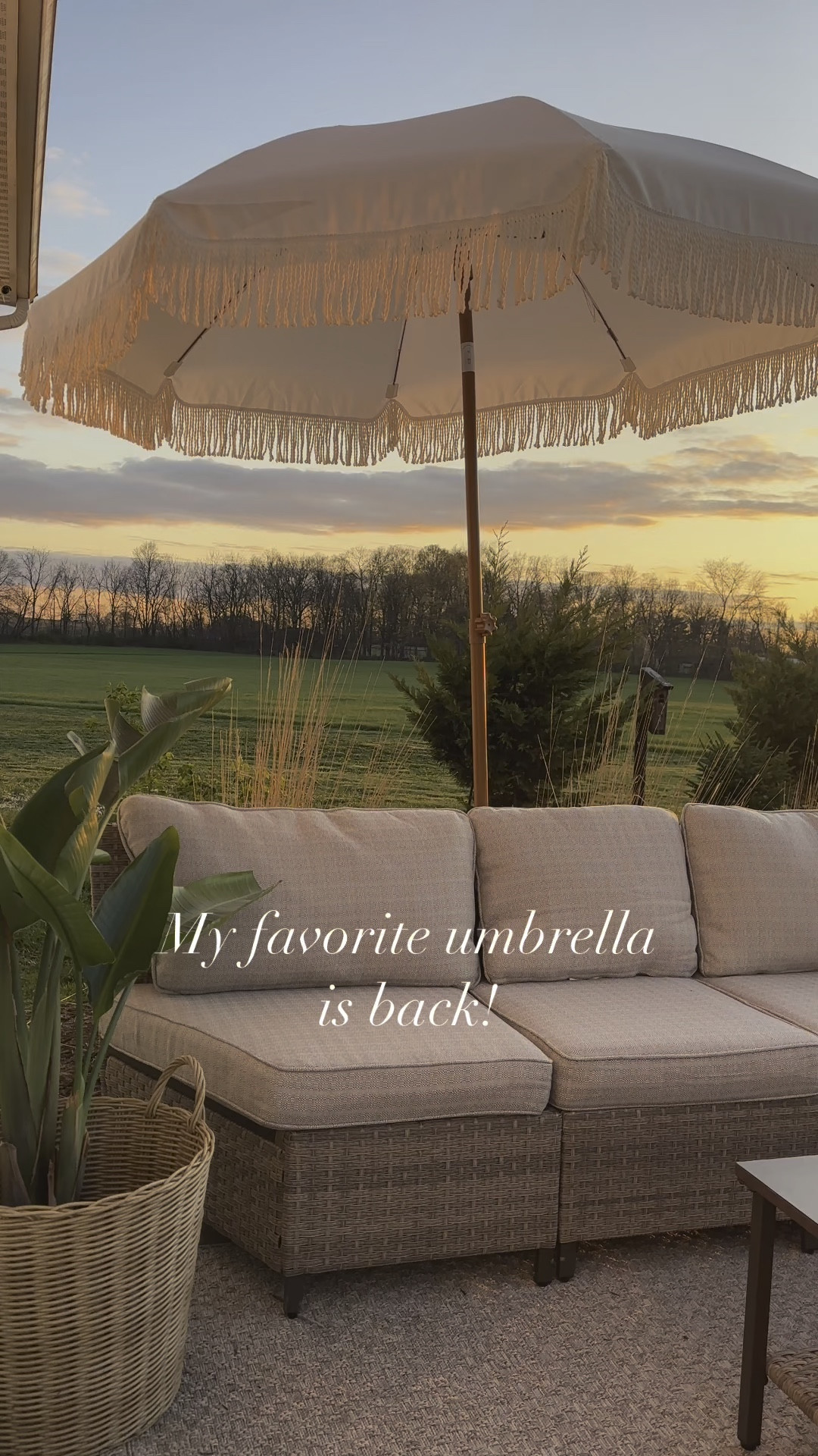 My favorite umbrella! 

#LTKHome #LTKSeasonal #LTKWatchNow