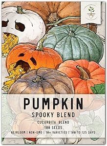 Seed Needs, 100+ Spooky Blend Pumpkin Seeds for Planting (Lumina White, Jack O Lantern, Baby Boo,... | Amazon (US)