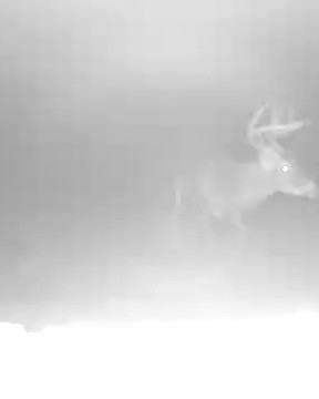 I case you needed to a reason to buy this video bird/animal feeder