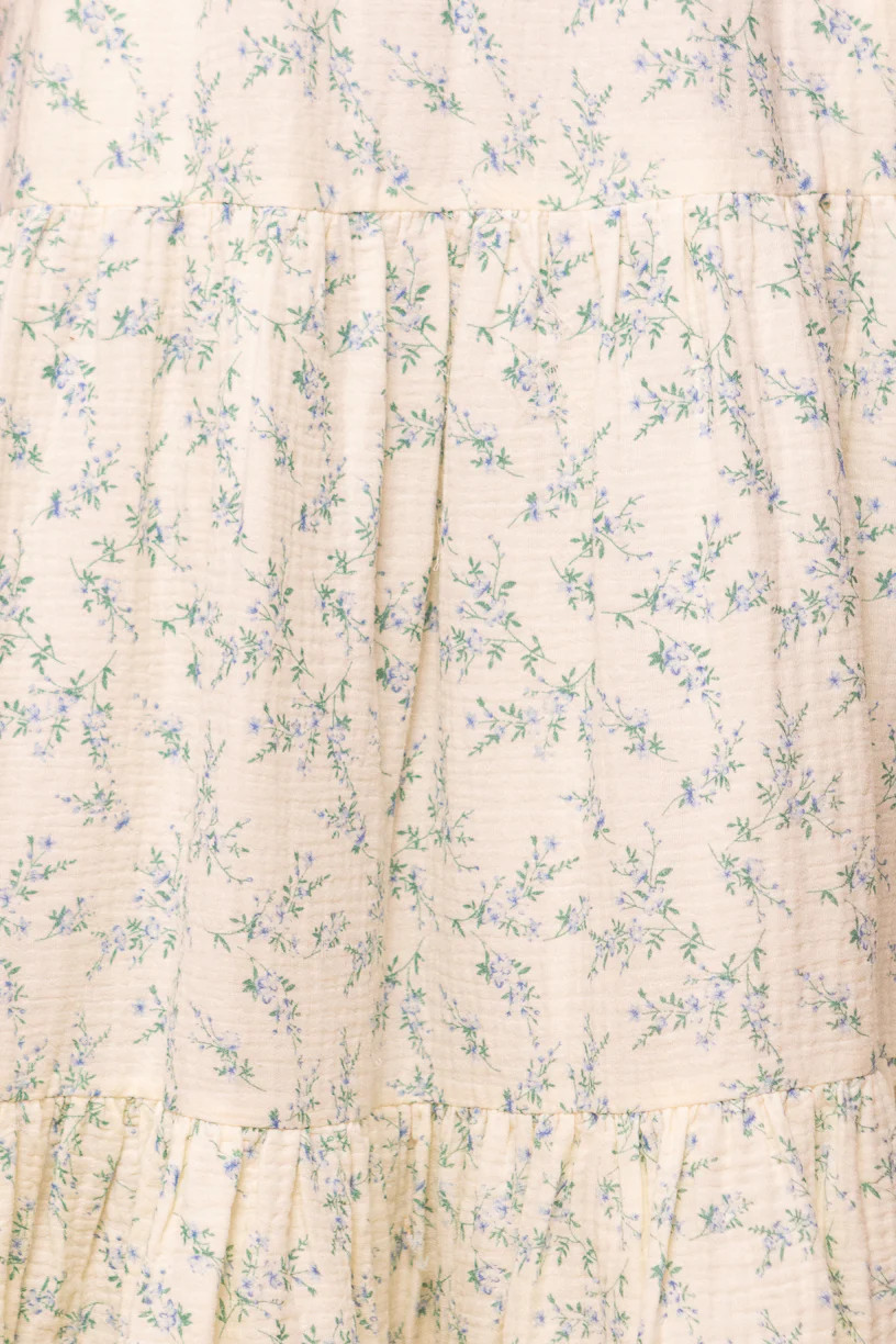 Jovie Dress in Blue Floral | Ivy City Co