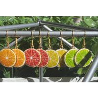 4 Pack Citrus Fruit Earrings | Etsy (CAD)