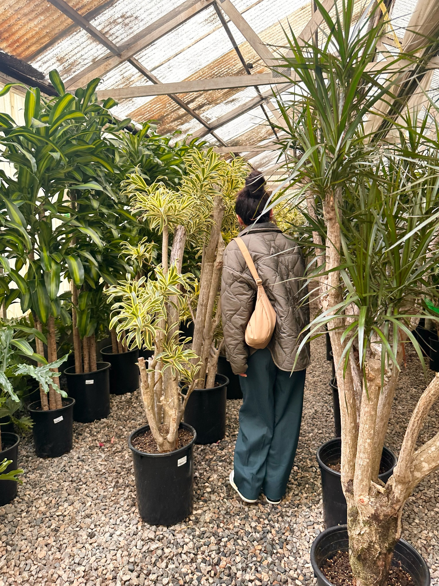 Fall vibes with my favorite everyday bag 

#LTKfindsunder100 #LTKSeasonal #LTKfindsunder50