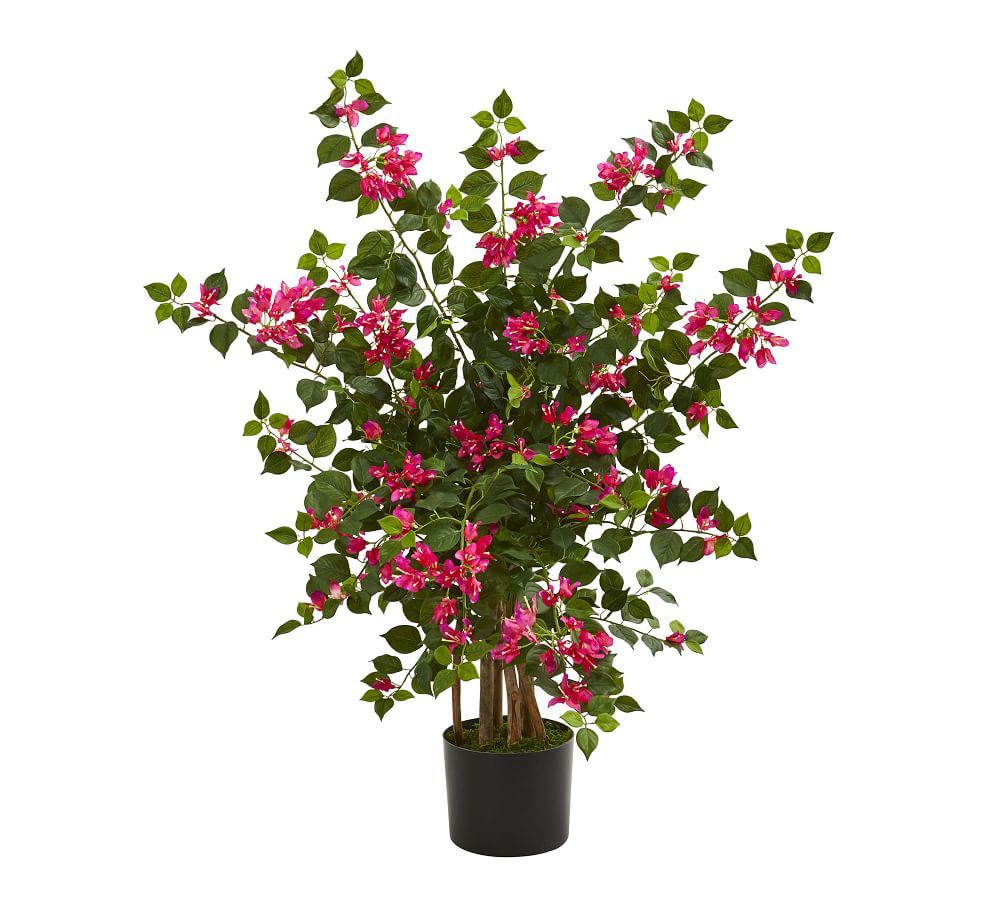 Bougainvillea Faux Tree | Pottery Barn (US)