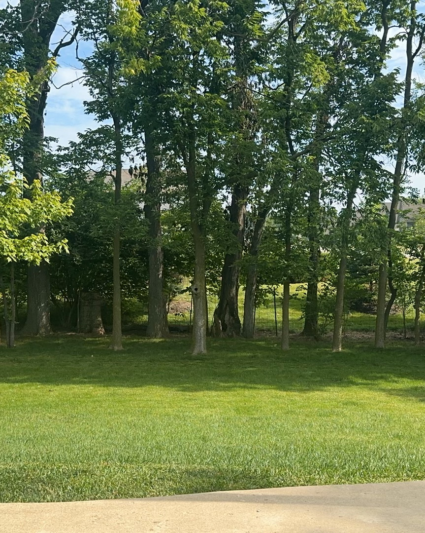 User-friendly and easy to use lawnmower
 