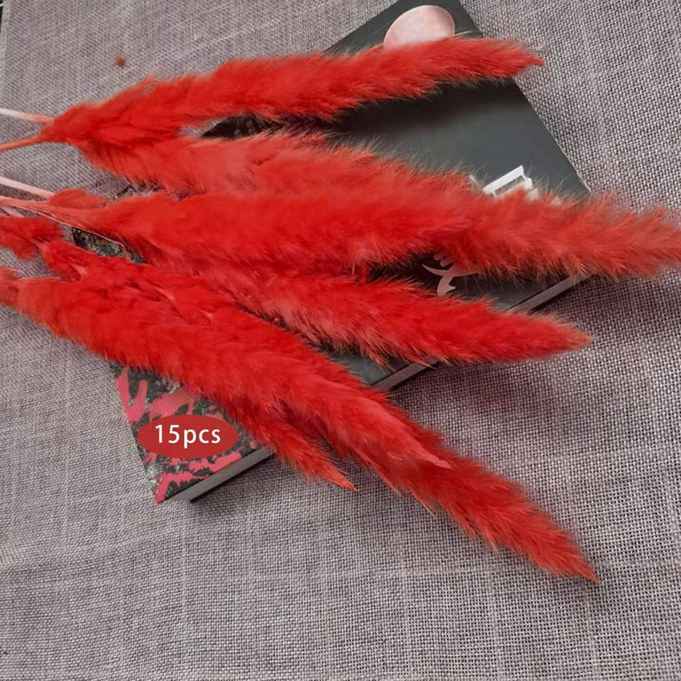 15x Dried Pampas Grass Phragmites Reed Room Flower Arrangement Red | Walmart (US)