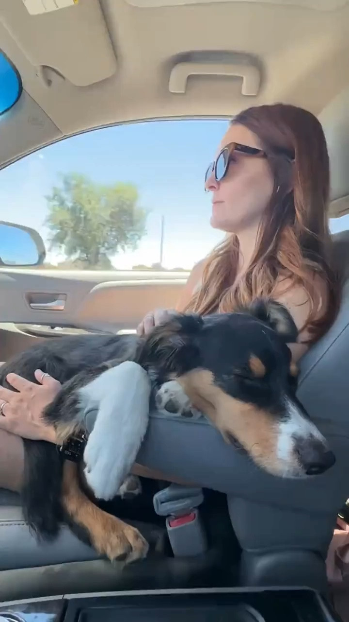 This moment with Silas took me back in my heart to 2011 💙🐾 when I met my soul dog, Chase. 

#middleschoolteacher #thatnewteacher

#LTKTravel #LTKmomlife #LTKdayinmylife
