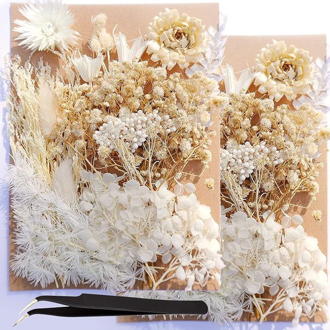 2 Pack White Dried Pressed Flowers, Real Plant Leaf Flower with Tweezers for Resin Molds Scrapboo... | Amazon (US)