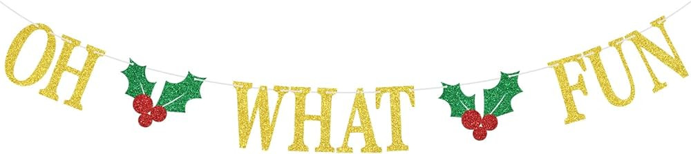 Oh What Fun Banner, Merry Birthday, X-mas, Winter Party, Merry Christmas Birthday Party Decoratio... | Amazon (US)