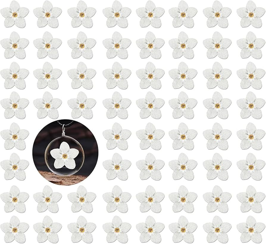 60PCS Dried Forget Me Not Flowers for Resin Mold, Natural White Pressed Don’t Forget Me Dry Flo... | Amazon (US)